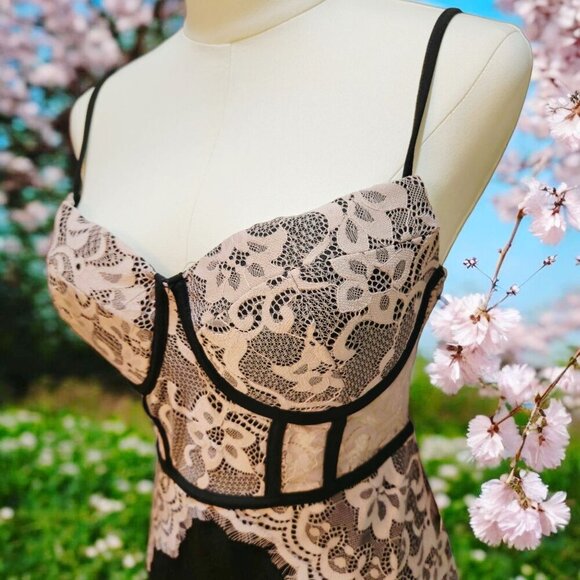 Blashe Black & Pink Lace Bustier Mini Dress – Curve-Hugging – Size L – NWT - Picture 10 of 15